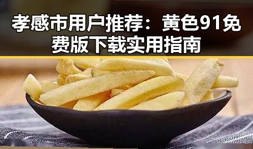 孝感市用户推荐：黄色91免费版下载实用指南