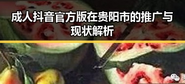 成人抖音官方版在贵阳市的推广与现状解析