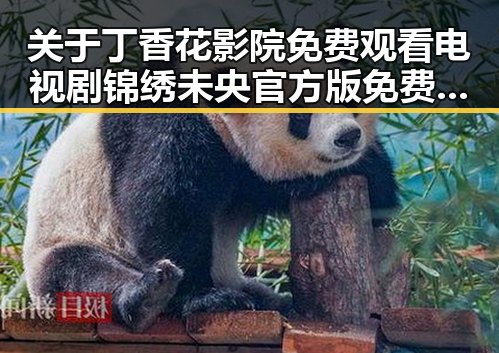 关于丁香花影院免费观看电视剧锦绣未央官方版免费版的最新动态与解读