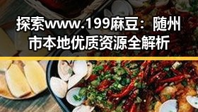 探索 www.199麻豆：随州市本地优质资源全解析