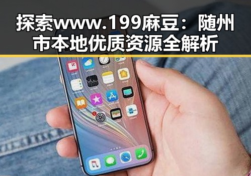 探索 www.199麻豆：随州市本地优质资源全解析