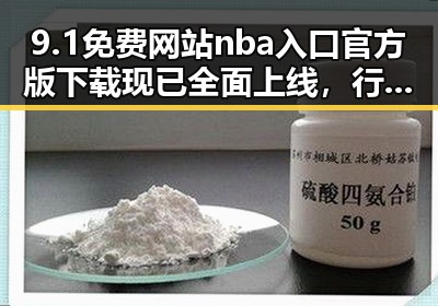 9.1免费网站nba入口官方版下载现已全面上线，行业新动态解析