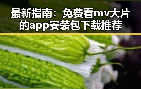 最新指南：免费看mv大片的app安装包下载推荐