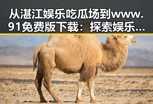从湛江娱乐吃瓜场到www.91免费版下载：探索娱乐资源的便捷之路