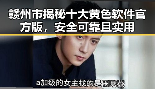 赣州市揭秘十大黄色软件官方版，安全可靠且实用