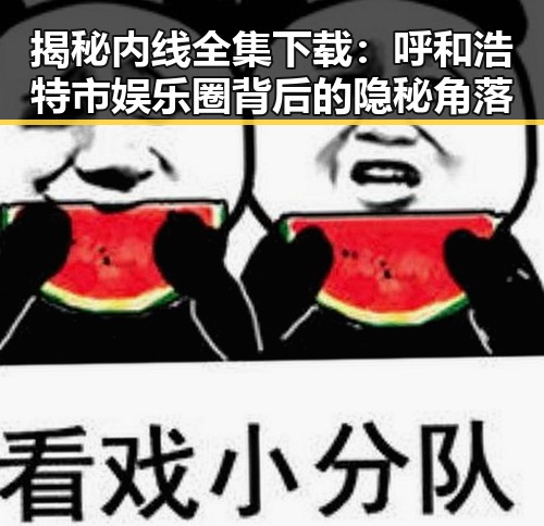 揭秘内线全集下载：呼和浩特市娱乐圈背后的隐秘角落