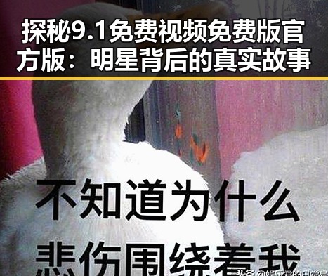 探秘9.1免费视频免费版官方版：明星背后的真实故事