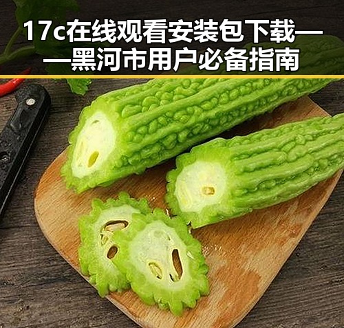 17c在线观看安装包下载——黑河市用户必备指南