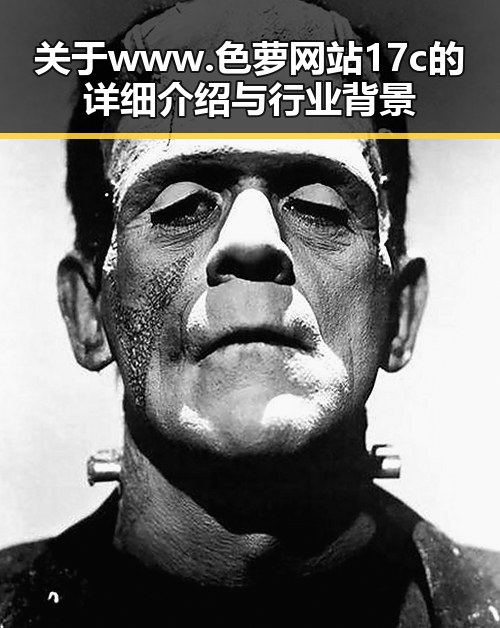 关于www.色 萝网站17c的详细介绍与行业背景