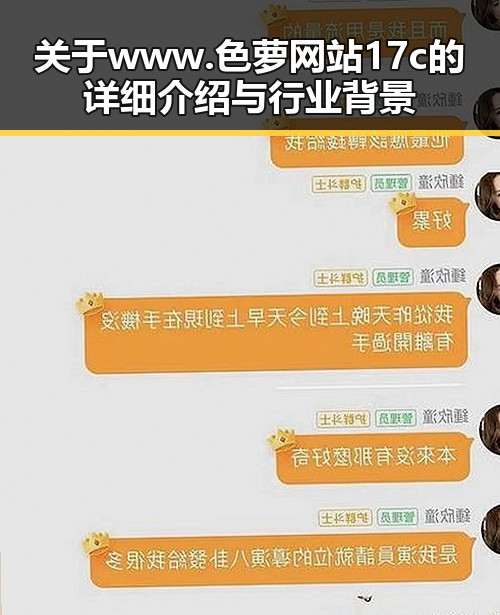 关于www.色 萝网站17c的详细介绍与行业背景