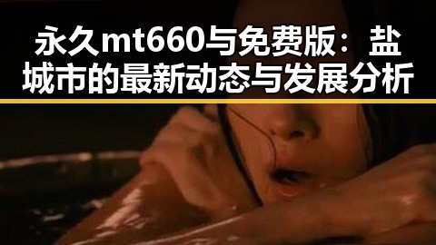 永久mt660与免费版：盐城市的最新动态与发展分析