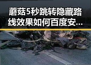 蘑菇5秒跳转隐藏路线效果如何百度安卓版全面解析