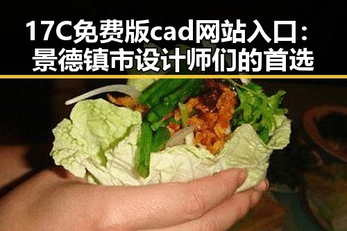 17C免费版cad网站入口：景德镇市设计师们的首选