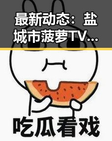 最新动态：盐城市菠萝TV影响力不断扩大