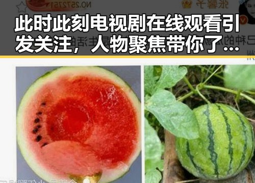 此时此刻电视剧在线观看引发关注,人物聚焦带你了解最新动态