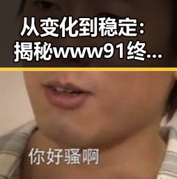 从变化到稳定:揭秘www91终极手册的演变历程