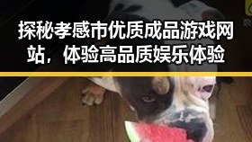 探秘孝感市优质成品游戏网站,体验高品质娱乐体验