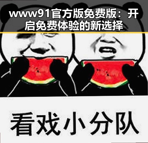www91官方版免费版:开启免费体验的新选择