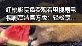 红桃影院免费观看电视剧电视剧高清官方版:轻松享受精彩内容