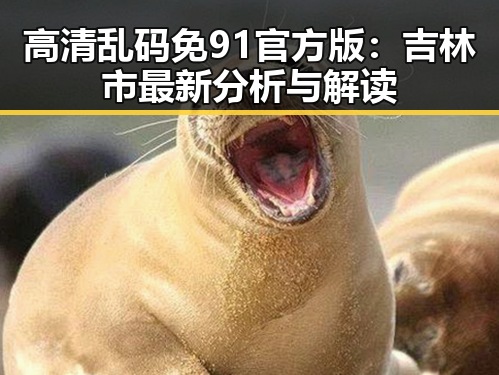 高清乱码免91官方版：吉林市最新分析与解读