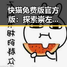 快猫免费版官方版：探索崇左市用户体验的最佳选择