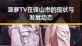 菠萝TV在保山市的现状与发展动态