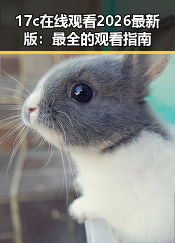 17c在线观看2026最新版:最全的观看指南