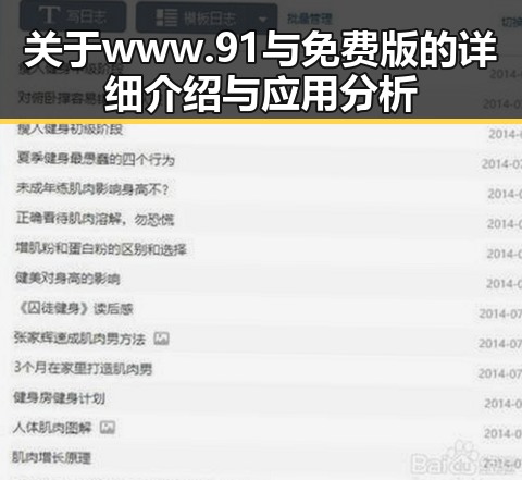 关于www.91与免费版的详细介绍与应用分析