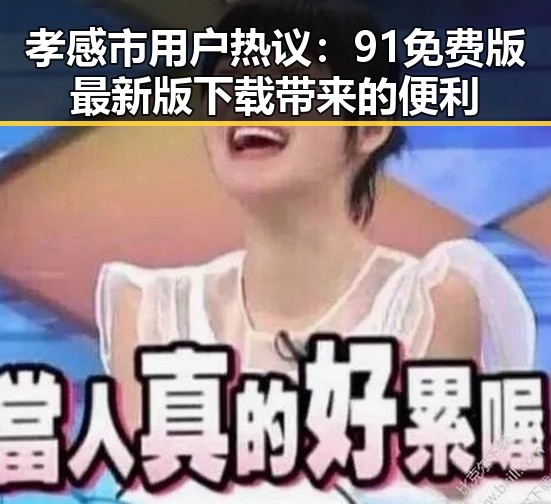 孝感市用户热议:91免费版最新版下载带来的便利