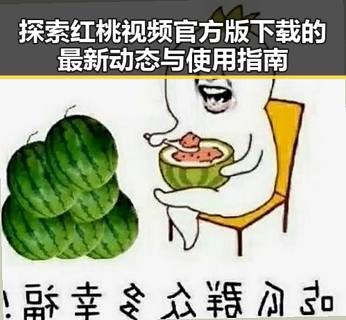 探索红桃视频官方版下载的最新动态与使用指南