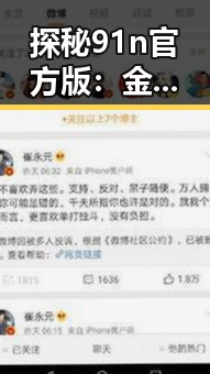 探秘91n官方版：金华市的最新应用与发展动向