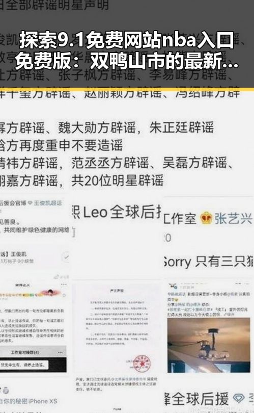 探索9.1免费网站nba入口免费版：双鸭山市的最新体育资源