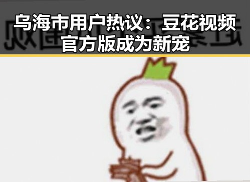 乌海市用户热议：豆花视频官方版成为新宠