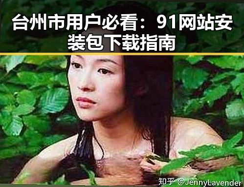 台州市用户必看：91网站安装包下载指南