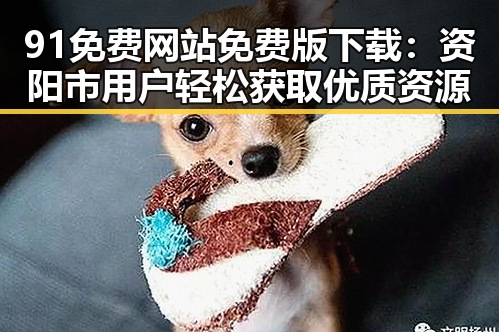 91免费网站免费版下载:资阳市用户轻松获取优质资源