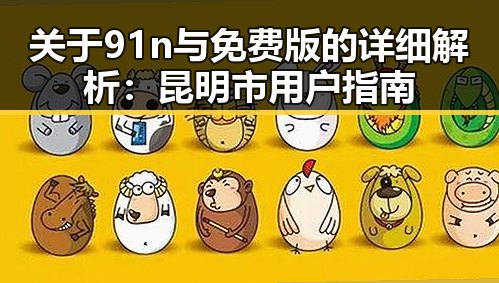关于91n与免费版的详细解析:昆明市用户指南