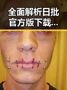 全面解析日批官方版下载的最新动态与实用指南