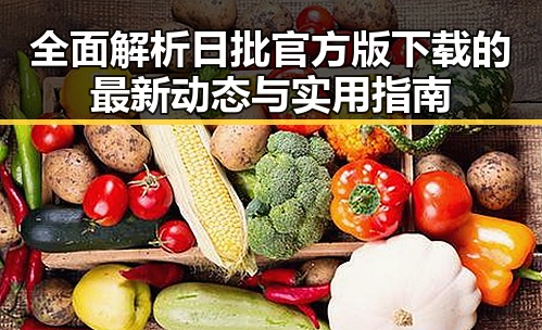 全面解析日批官方版下载的最新动态与实用指南