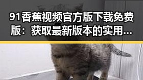 91香蕉视频官方版下载免费版：获取最新版本的实用指南