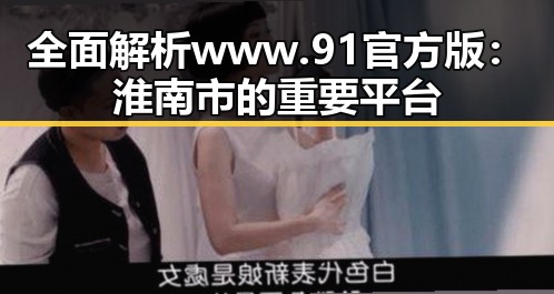 全面解析www.91官方版：淮南市的重要平台
