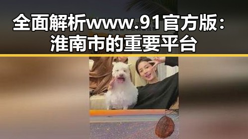 全面解析www.91官方版:淮南市的重要平台