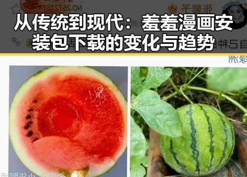 从传统到现代:羞羞漫画安装包下载的变化与趋势