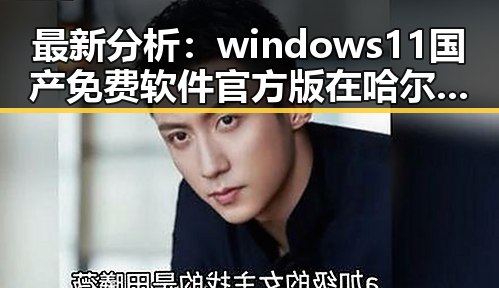 最新分析:windows11国产免费软件官方版在哈尔滨市的应用现状