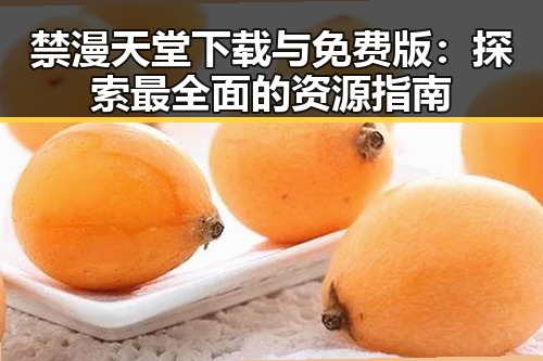 禁漫天堂下载与免费版：探索最全面的资源指南