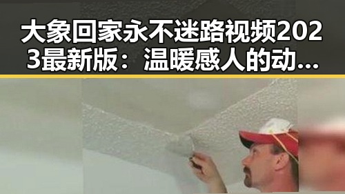 大象回家永不迷路视频2023最新版:温暖感人的动物归巢故事