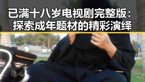 已满十八岁电视剧完整版:探索成年题材的精彩演绎