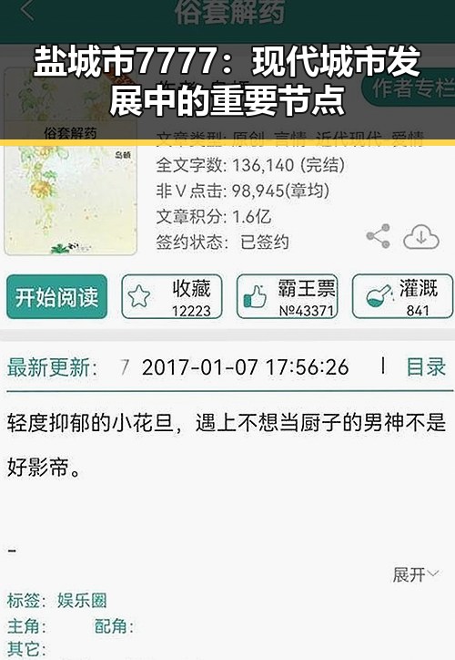 盐城市7777:现代城市发展中的重要节点