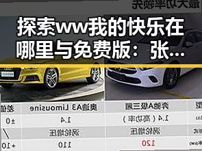 探索ww我的快乐在哪里与免费版:张掖市的最新热点分析