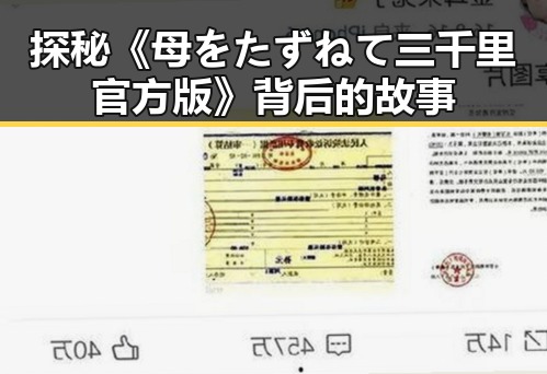 探秘《母をたずねて三千里官方版》背后的故事