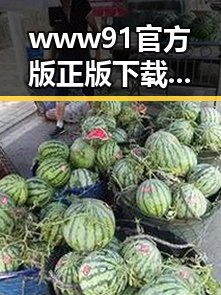 www91官方版正版下载:确保安全稳定的最佳选择